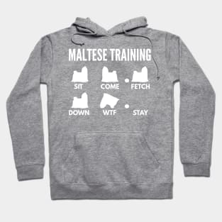 Maltese Training Maltese Dog Tricks Hoodie